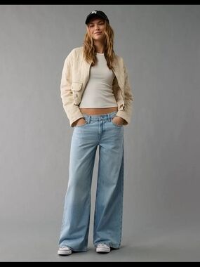 AE Strigid Low Rise Wide Leg Jeans